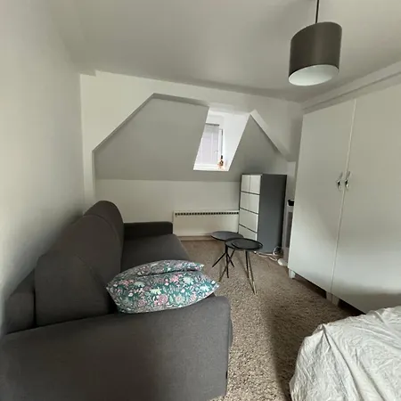 Appartement Duc D'Alsace Strasbourg Exterior photo