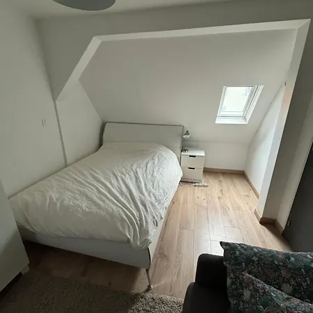 Appartement Duc D'Alsace Strasbourg Exterior photo