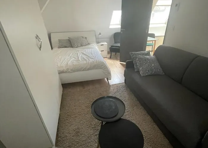 Appartement Duc D\'Alsace